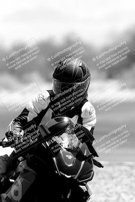 media/Jun-04-2023-Apex Assassins (Sun) [[43813f47a8]]/C Group/Session 4 (Turn 2-Track Exit)/
